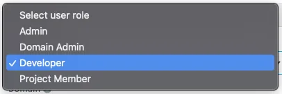 User role dropdown with Admin, Domain Admin, Developer and Project Member
