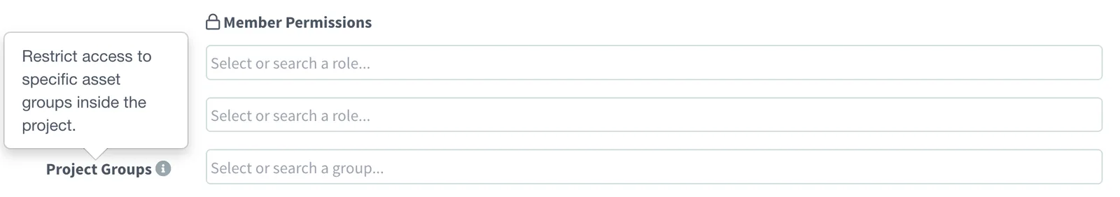 Member Permissions section with two role selectors and a Project Groups selector, whose tooltip reads Restrict access to specific asset groups inside the project
