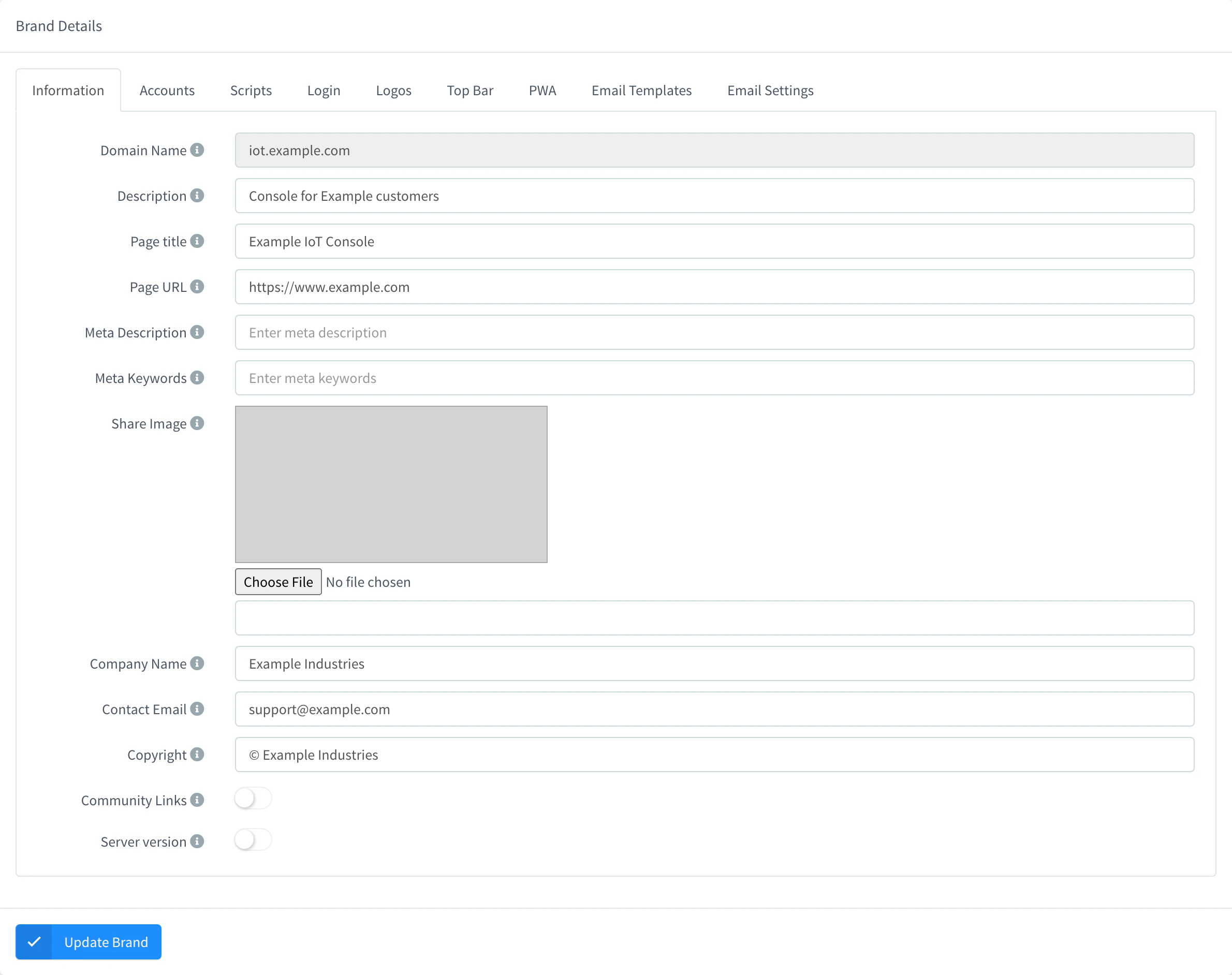 Information tab of the iot.example.com brand with page title, company name and contact email